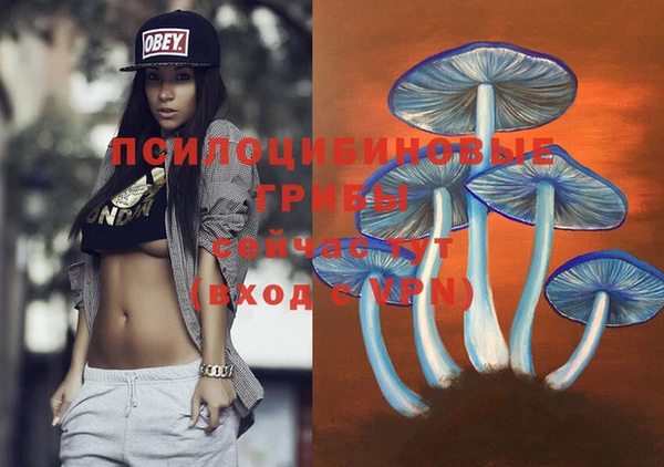 марки lsd Няндома