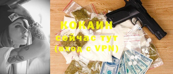 твердый Новодвинск